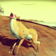 Illustration for article titled First day of No Mans Sky in screenshots (on PC)
